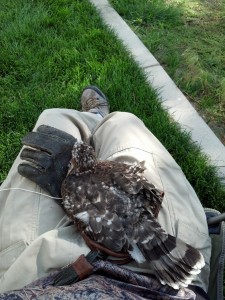 IMG_20130707_171307_773